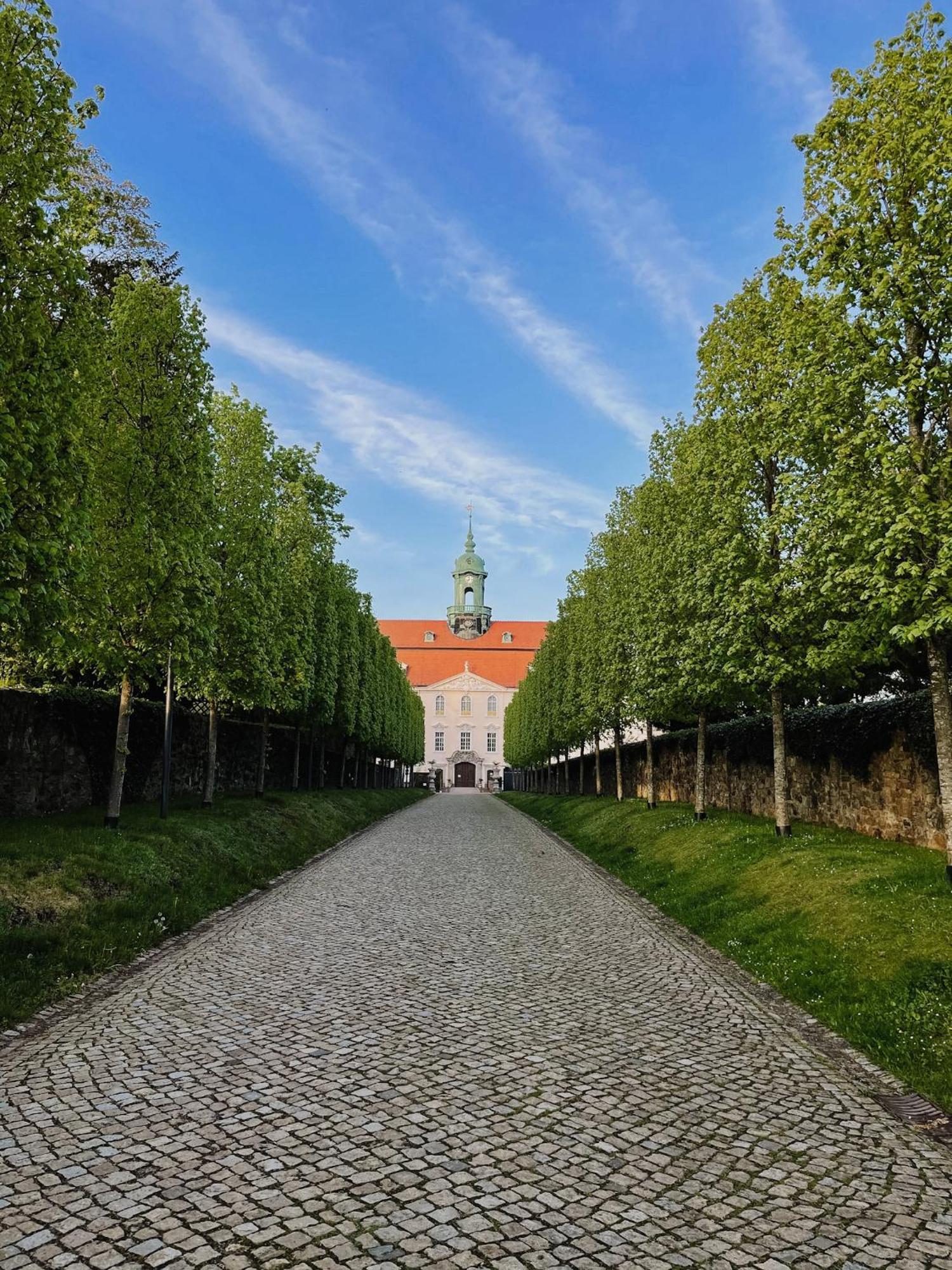 Ferienwohnung Tilda Lichtenwalde Luaran gambar